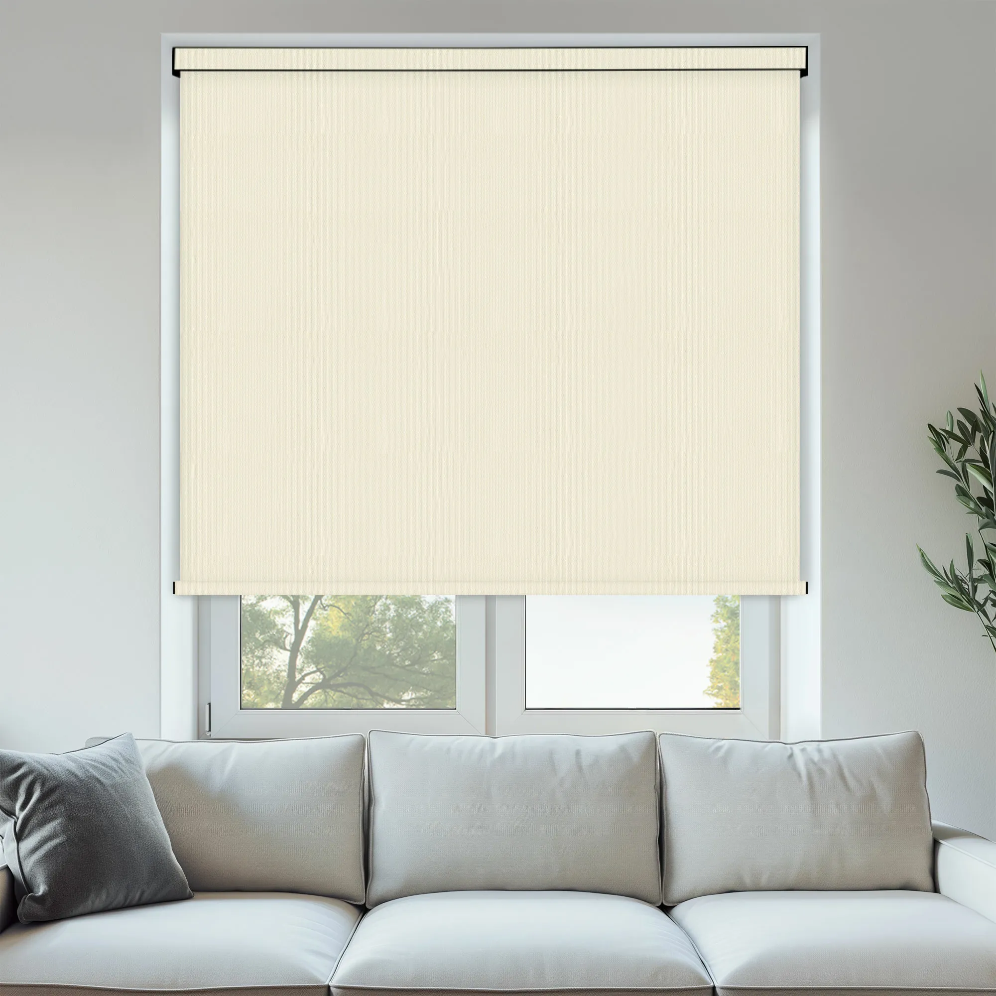 ROLL EX LITE BO CANVAS ROLL EX LITE BO CANVAS