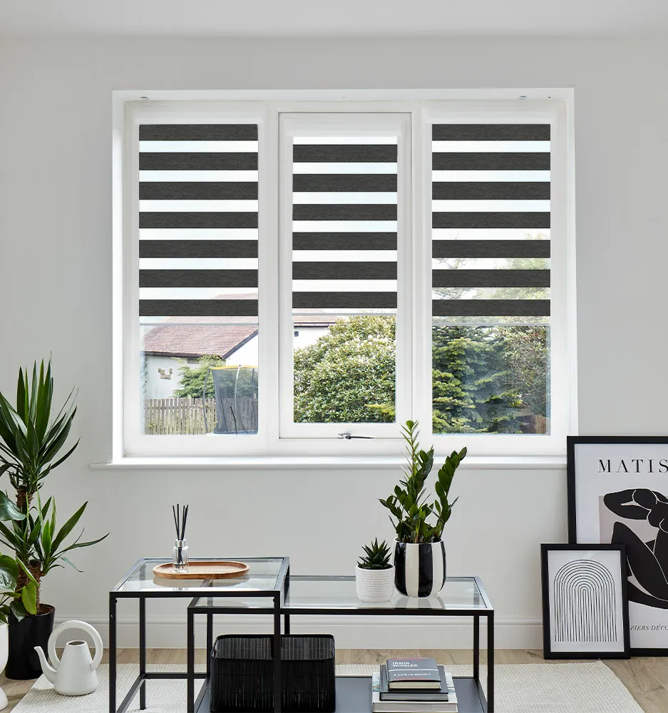 VIS PF TRENTO CHARCOAL WINDOW VIS PF TRENTO CHARCOAL WINDOW