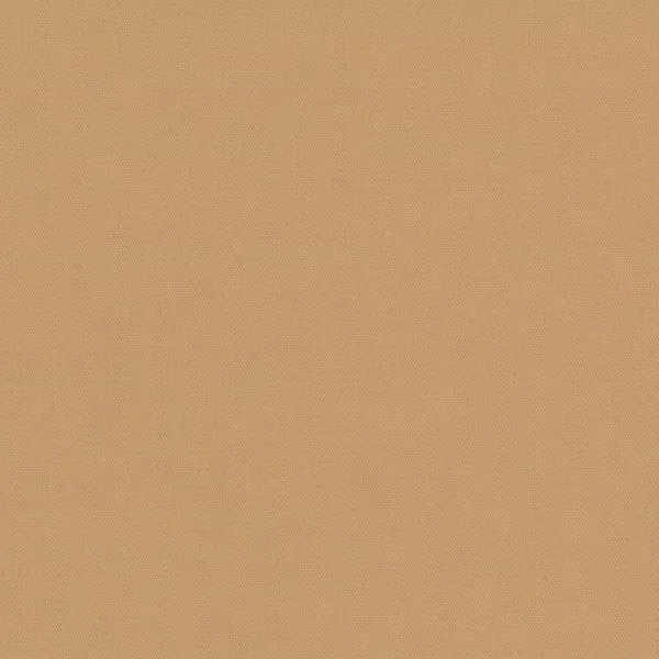 CARNIVAL CARAMEL